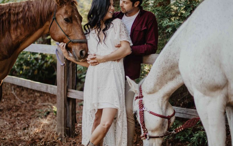 shutterstock_1711197730